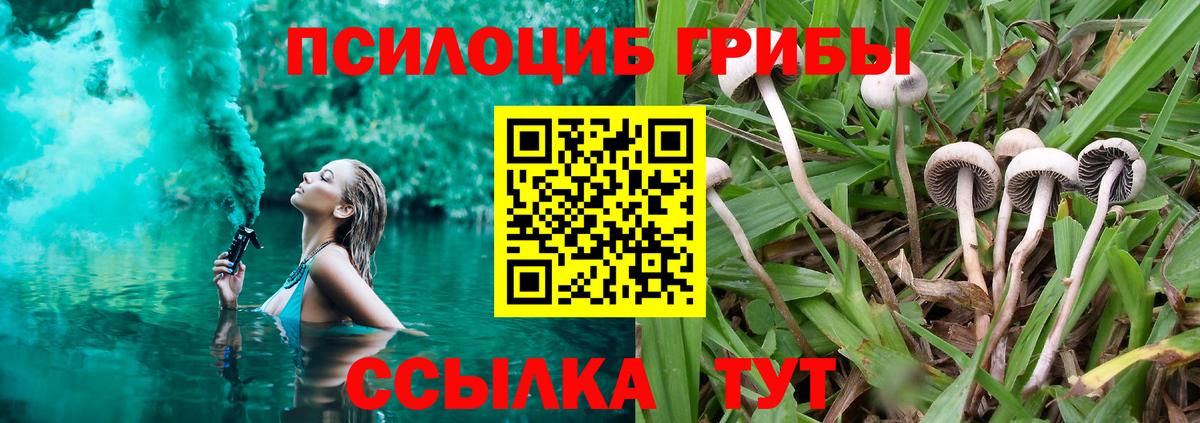 Псилоцибиновые грибы Cubensis  где продают наркотики  Псилоцибиновые грибы Cubensis  Среднеуральск  Вход с VPN 