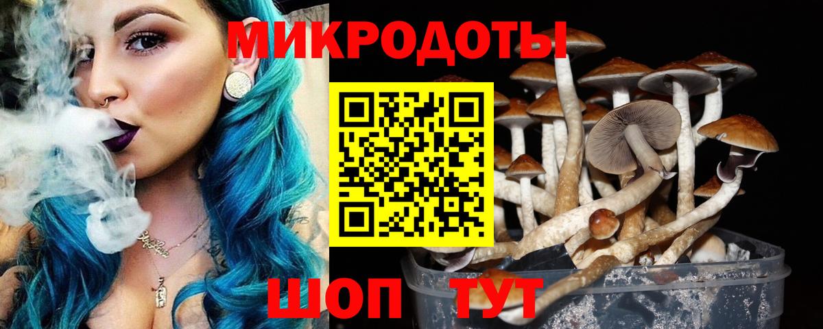Псилоцибиновые грибы GOLDEN TEACHER Среднеуральск
